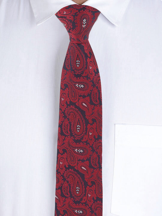 Alvaro Castagnino Maroon Coloured Necktie for Men