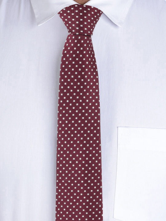 Alvaro Castagnino Maroon Coloured Necktie for Men