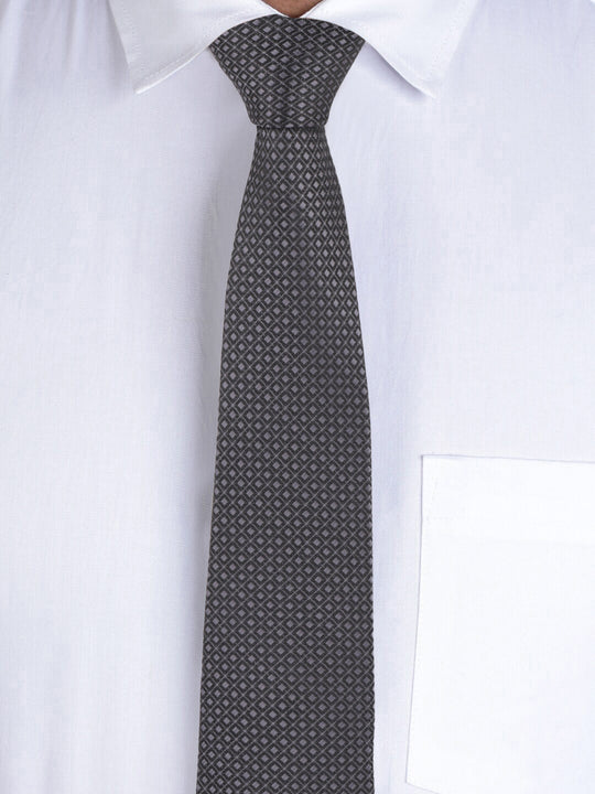 Alvaro Castagnino Grey  Coloured Necktie for Men
