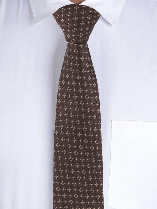 Alvaro Castagnino Brown Coloured Necktie for Men