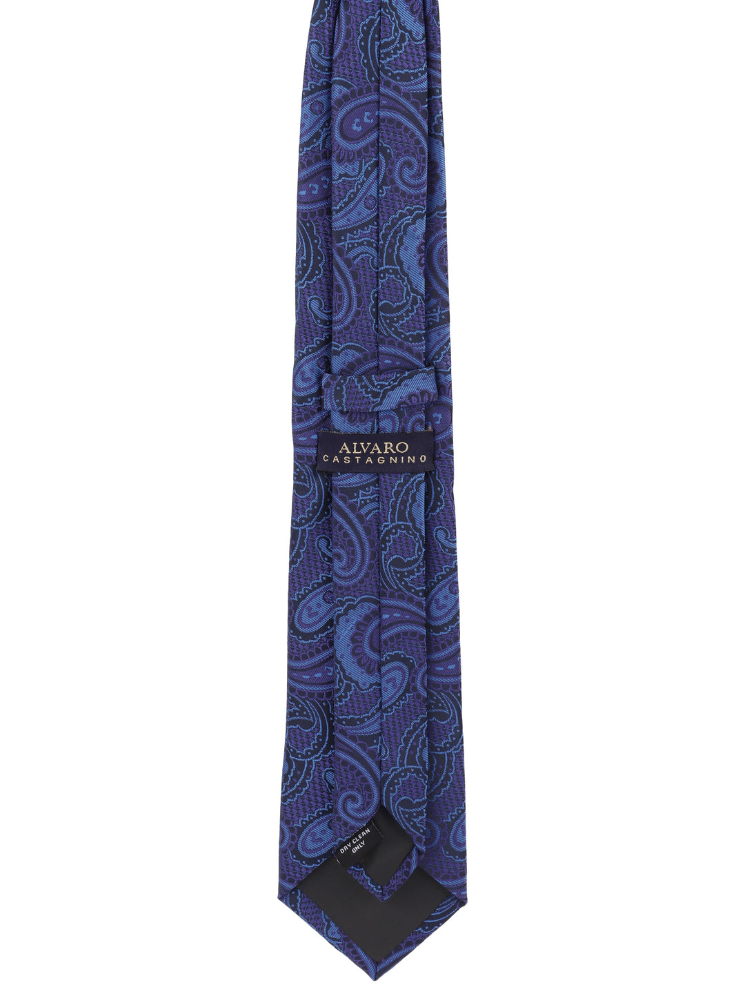 Alvaro Castagnino Blue Coloured Necktie for Men