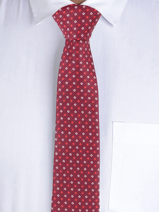 Alvaro Castagnino Maroon Coloured Necktie for Men