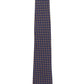 Alvaro Castagnino Blue & Brown Coloured Necktie for Men