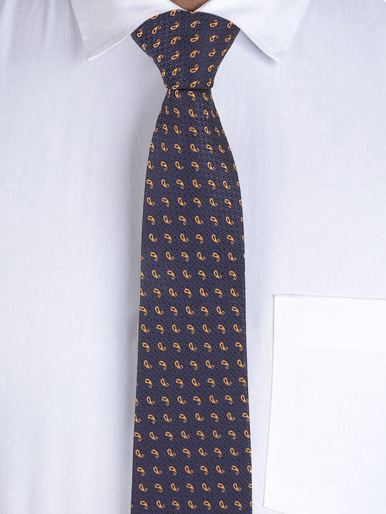 Alvaro Castagnino Blue & Brown Coloured Necktie for Men