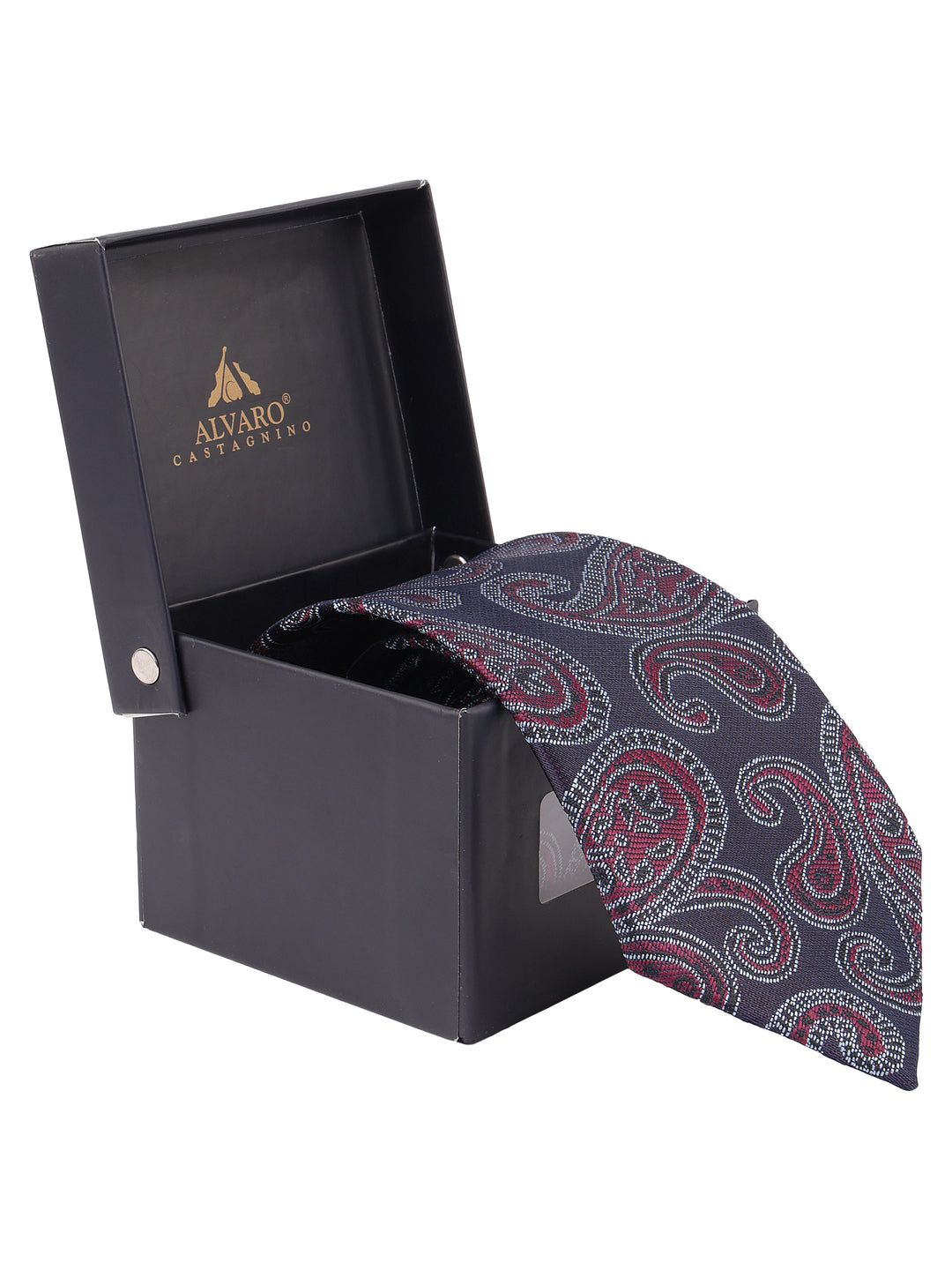 Alvaro Castagnino Maroon Coloured Necktie for Men