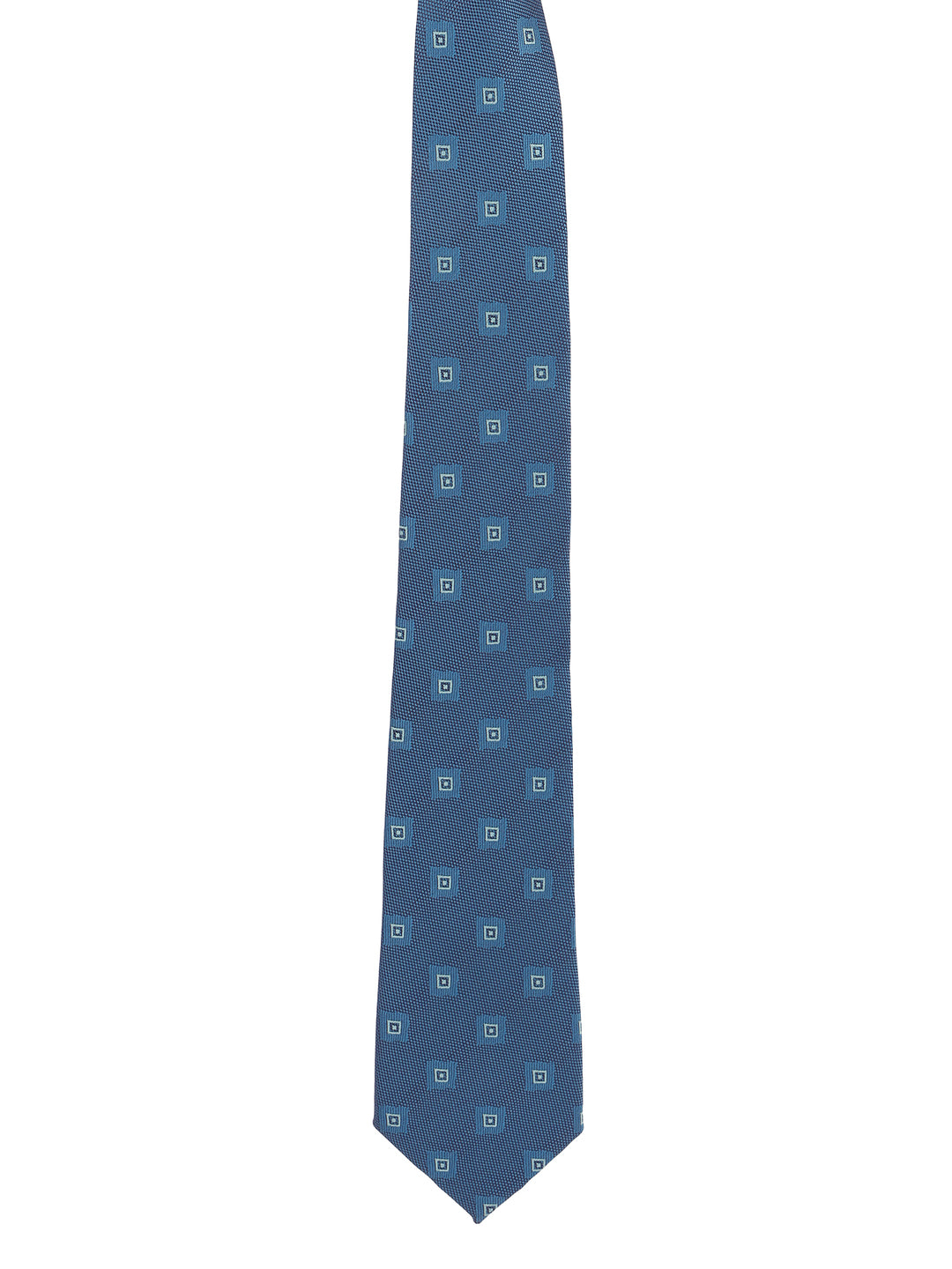 Alvaro Castagnino Blue Coloured Necktie for Men