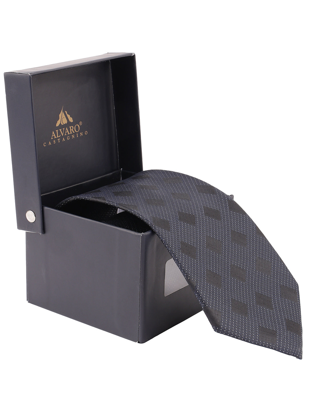 Alvaro Castagnino Blue Coloured Necktie for Men