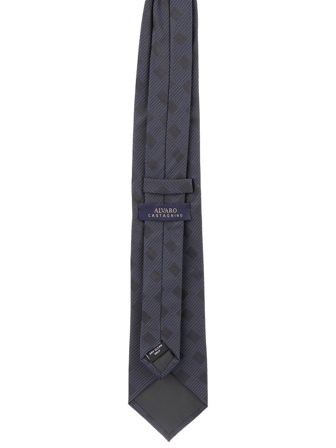 Alvaro Castagnino Blue Coloured Necktie for Men