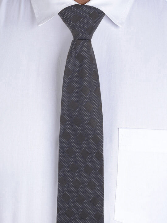 Alvaro Castagnino Blue Coloured Necktie for Men