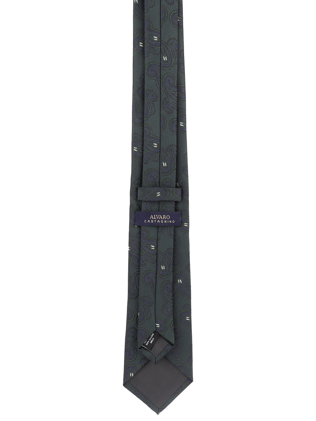 Alvaro Castagnino Green Coloured Necktie for Men