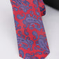 Alvaro Castagnino Red & Blue Coloured Necktie for Men