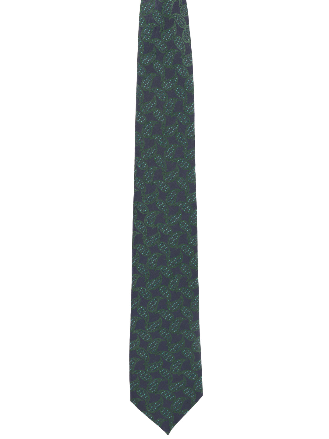 Alvaro Castagnino Green Coloured Necktie for Men