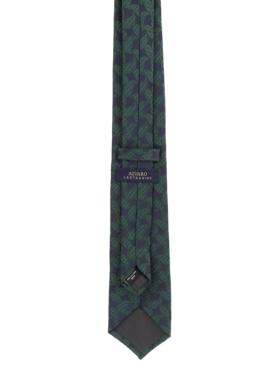 Alvaro Castagnino Green Coloured Necktie for Men