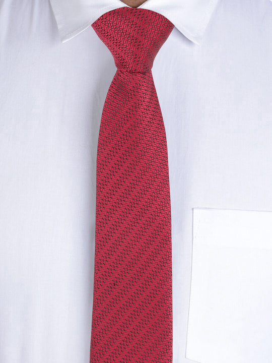 Alvaro Castagnino Maroon Coloured Necktie for Men