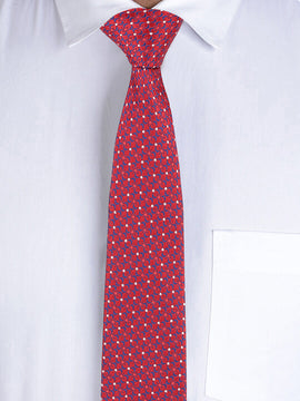 Alvaro Castagnino Maroon Coloured Necktie for Men