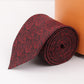 Alvaro Castagnino Maroon Coloured Necktie for Men