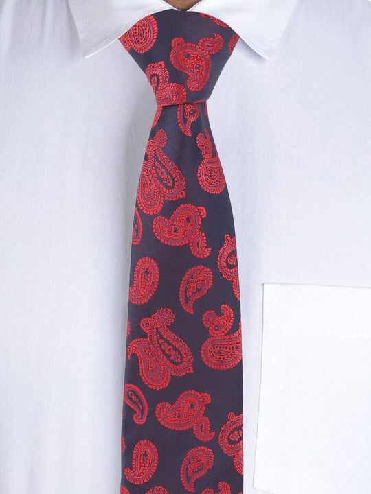 Alvaro Castagnino Blue & Maroon Coloured Necktie for Men