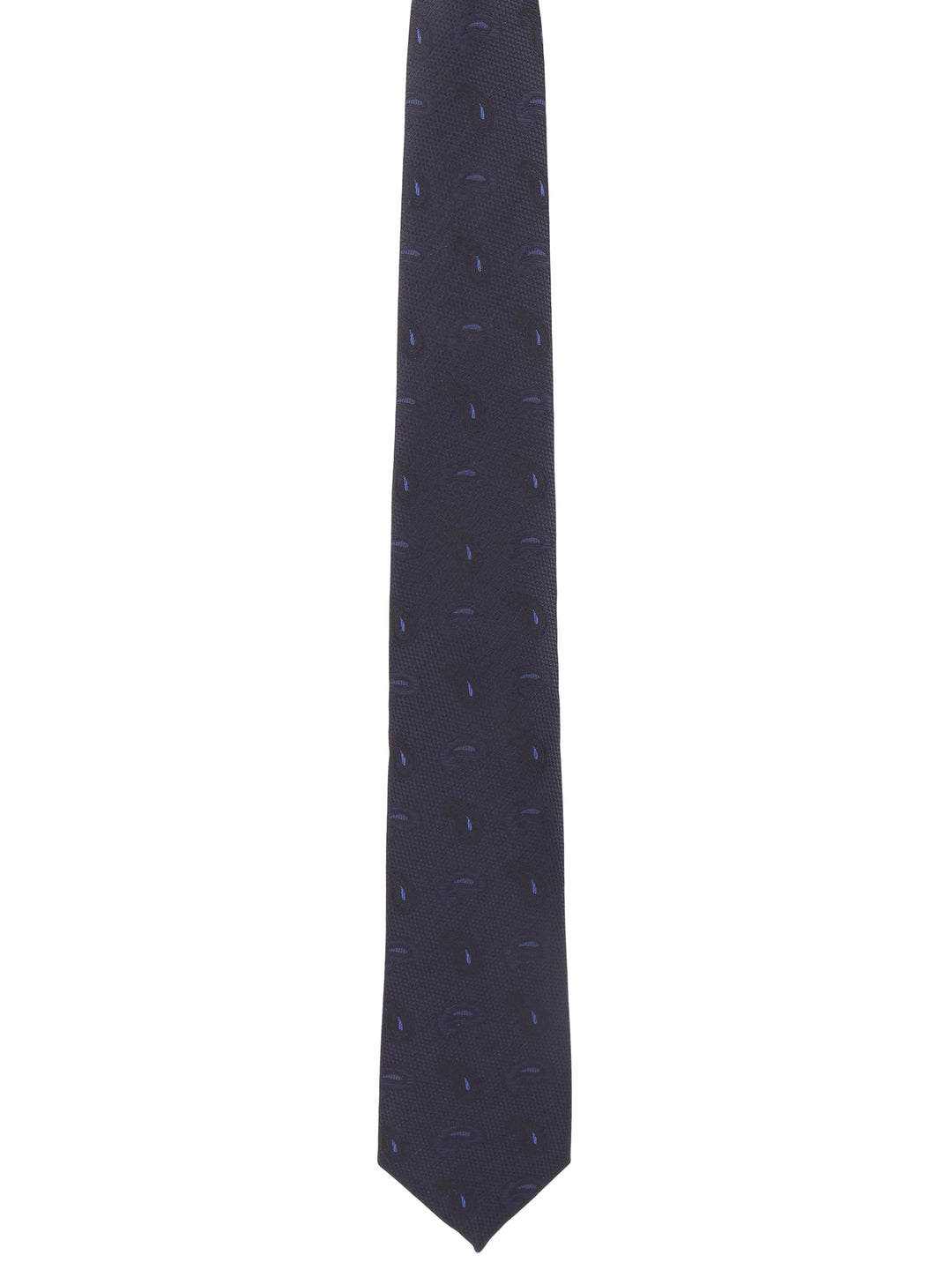 Alvaro Castagnino Blue Coloured Necktie for Men