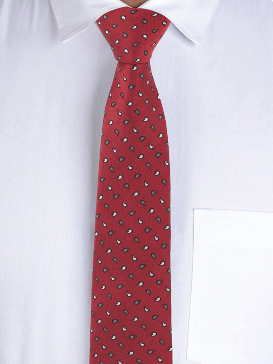 Alvaro Castagnino Maroon Coloured Necktie for Men