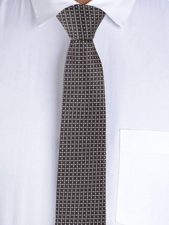 Alvaro Castagnino Grey Coloured Necktie for Men