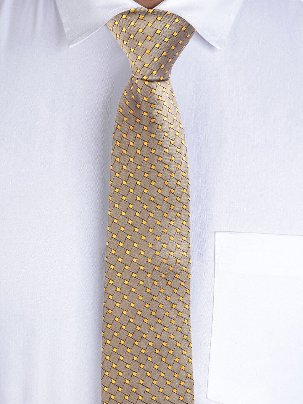 Alvaro Castagnino Men's British style Silk Broad Tie