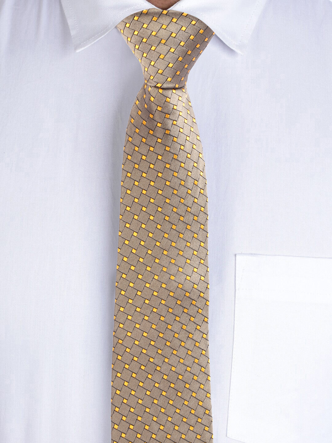 Alvaro Castagnino Men's British style Silk Broad Tie