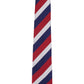 Alvaro Castagnino Men Maroon & Blue Woven Striped Skinny Tie