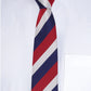 Alvaro Castagnino Men Maroon & Blue Woven Striped Skinny Tie