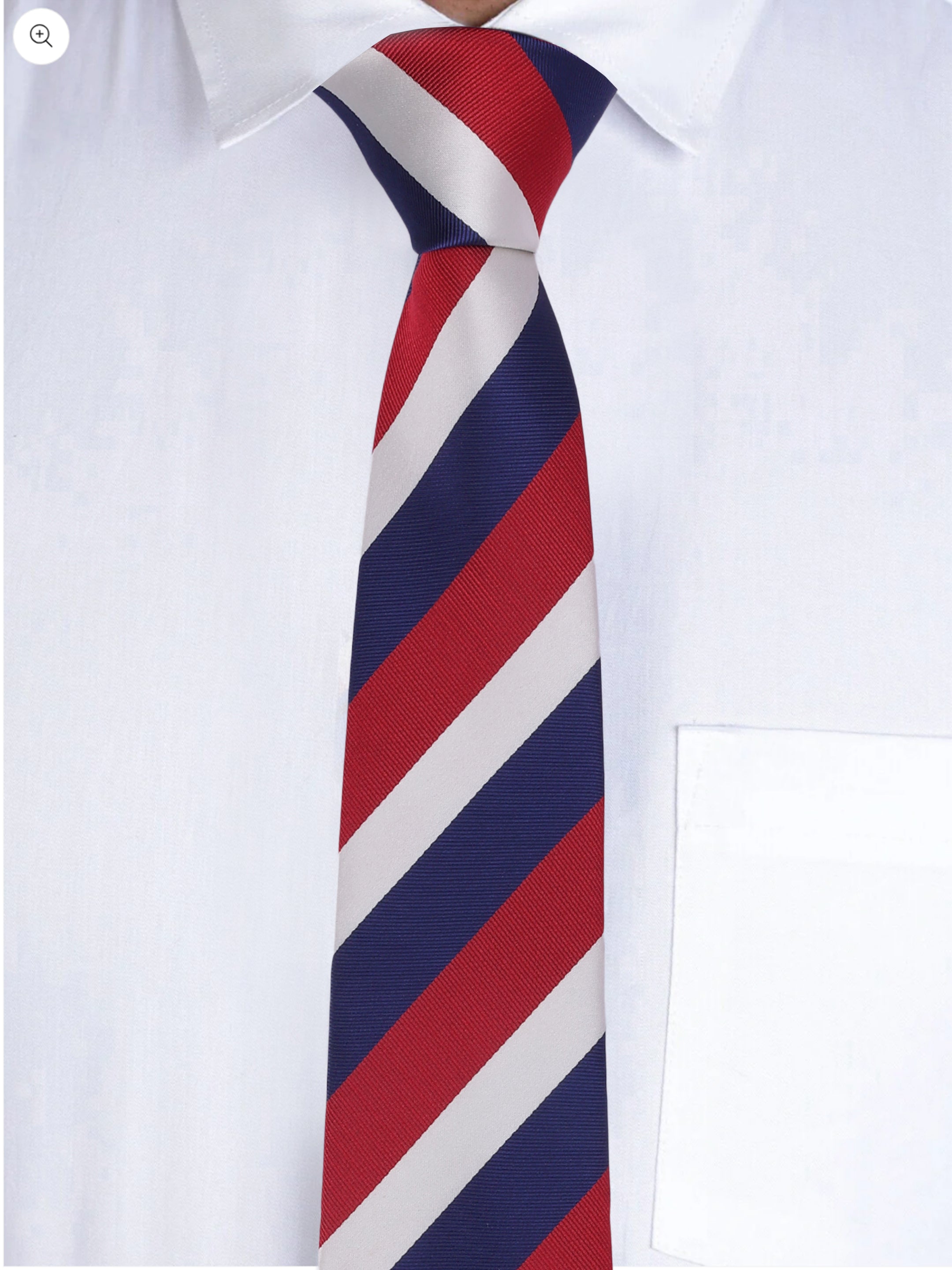 Alvaro Castagnino Men Maroon & Blue Woven Striped Skinny Tie