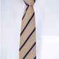 Alvaro Castagnino Men Beige & Blue Woven Striped Skinny Tie