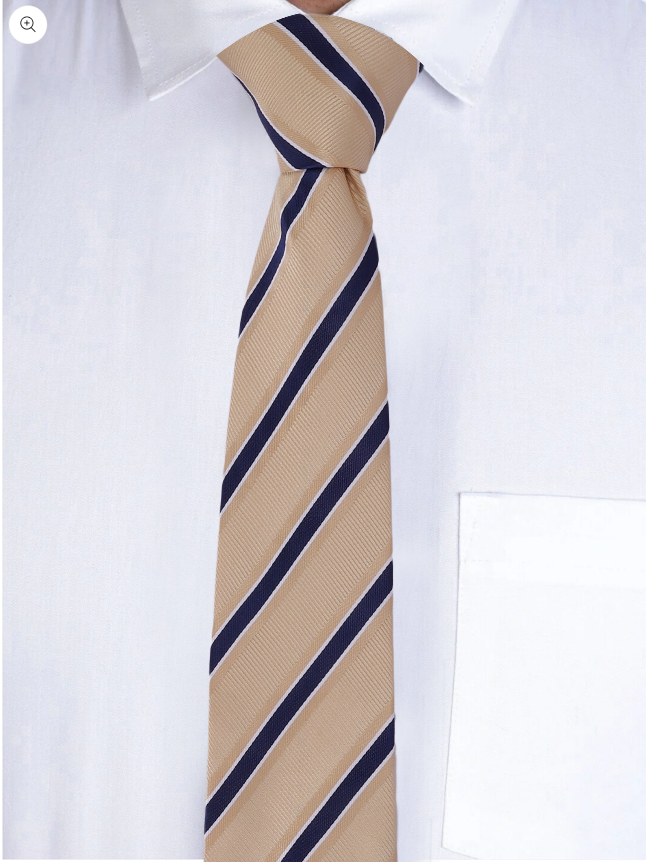 Alvaro Castagnino Men Beige & Blue Woven Striped Skinny Tie