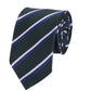 Alvaro Castagnino Men Green & Blue Woven Striped Skinny Tie