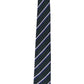 Alvaro Castagnino Men Green & Blue Woven Striped Skinny Tie