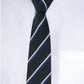 Alvaro Castagnino Men Green & Blue Woven Striped Skinny Tie