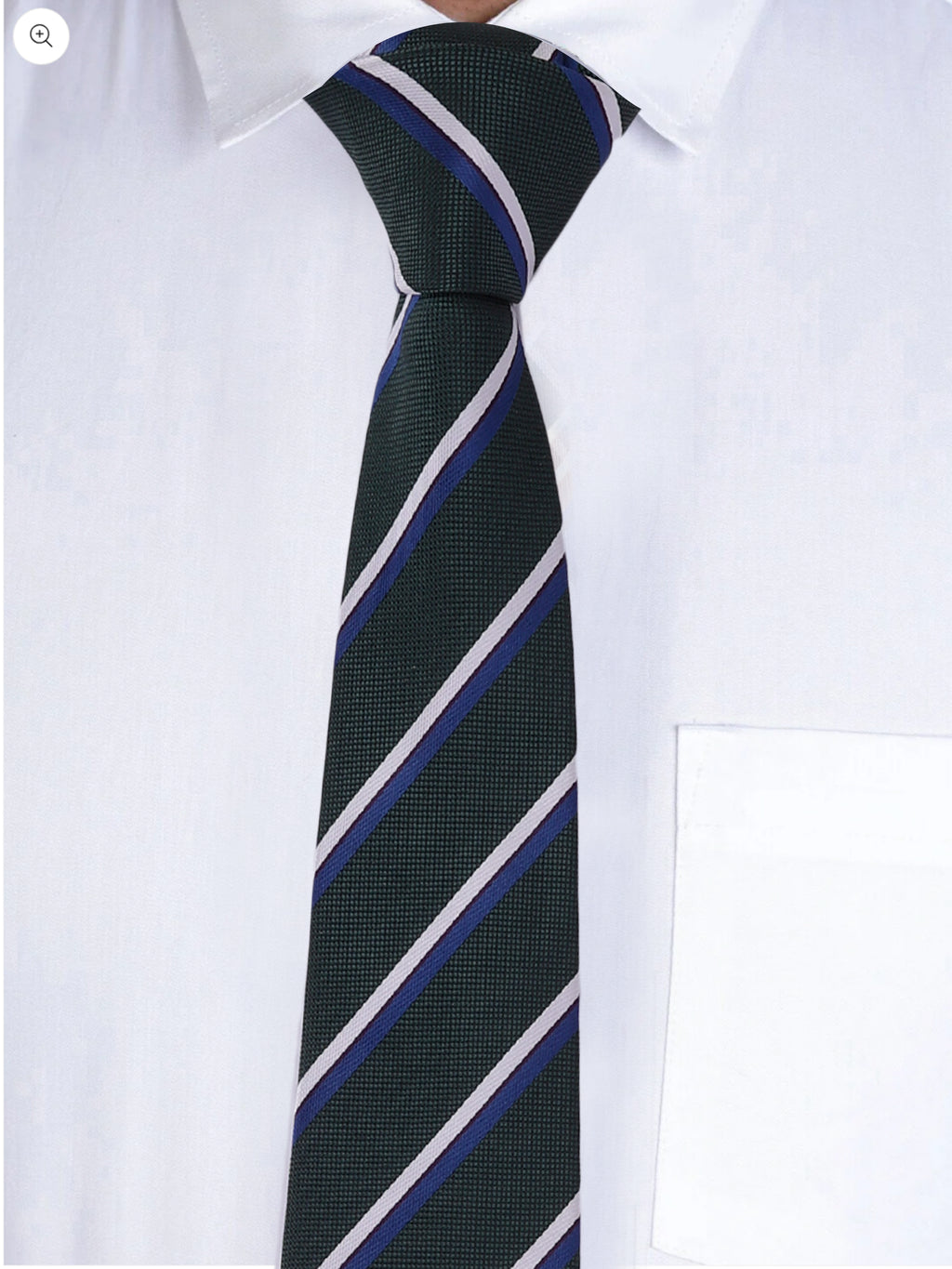 Alvaro Castagnino Men Green & Blue Woven Striped Skinny Tie