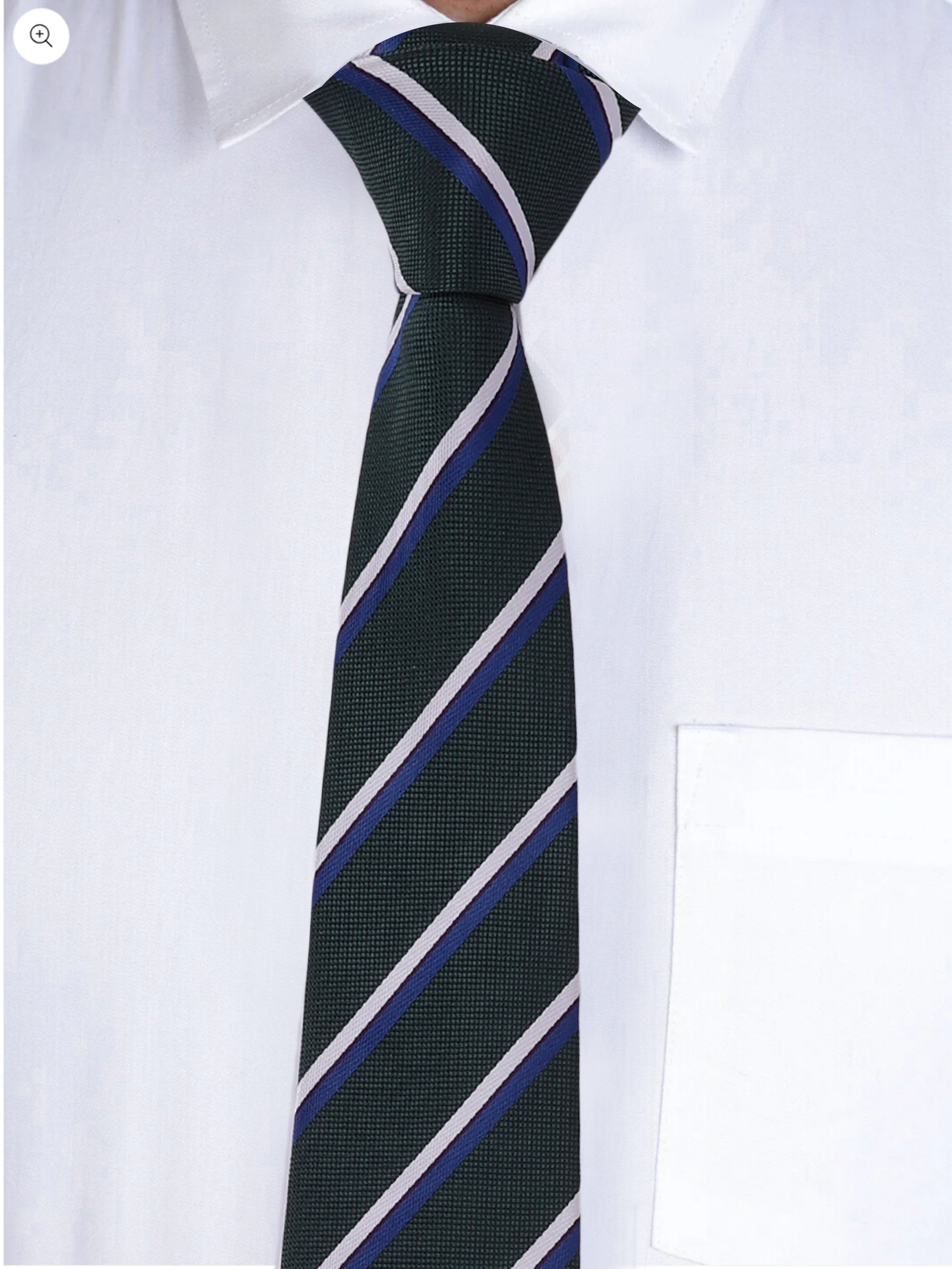 Alvaro Castagnino Men Green & Blue Woven Striped Skinny Tie