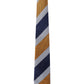 Alvaro Castagnino Men Striped Classic Formal Skinny Tie