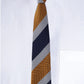 Alvaro Castagnino Men Striped Classic Formal Skinny Tie