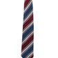 Alvaro Castagnino Men Striped Classic Formal Skinny Tie