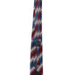 Alvaro Castagnino Men Striped Classic Formal Skinny Tie