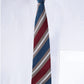 Alvaro Castagnino Men Striped Classic Formal Skinny Tie