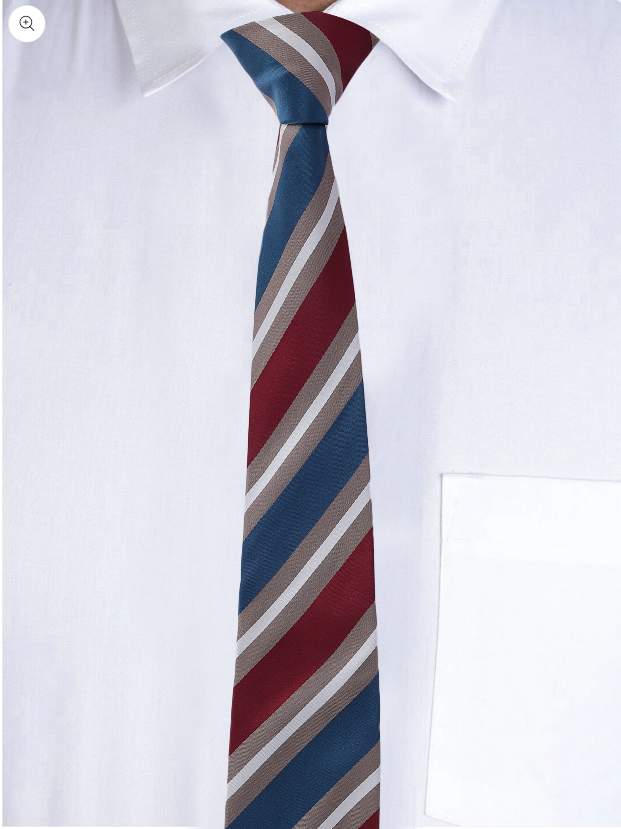 Alvaro Castagnino Men Striped Classic Formal Skinny Tie