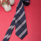 Alvaro Castagnino Men Striped Classic Formal Skinny Tie
