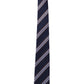 Alvaro Castagnino Men Striped Classic Formal Skinny Tie