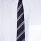 Alvaro Castagnino Men Striped Classic Formal Skinny Tie