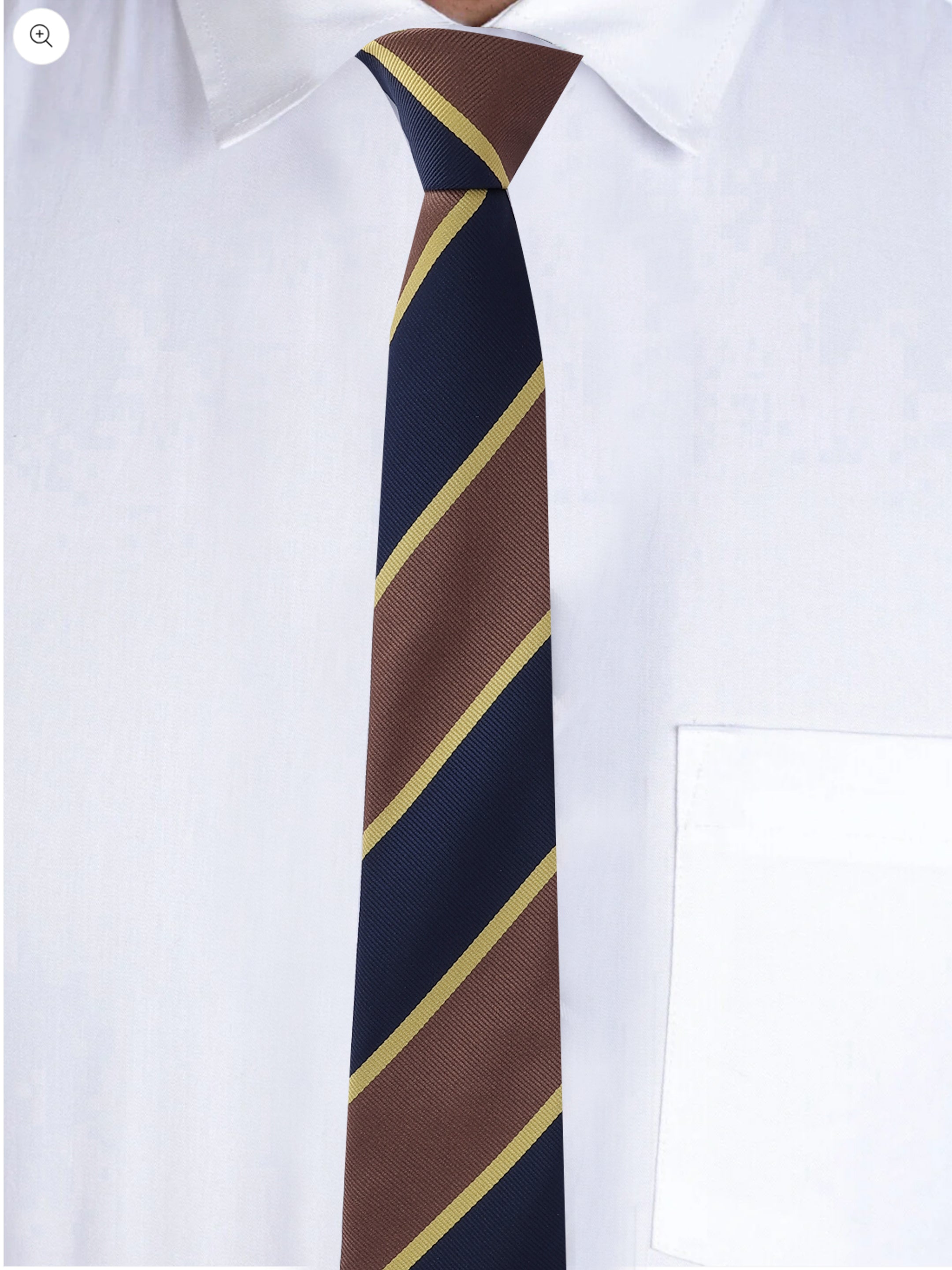 Alvaro Castagnino Men Striped Classic Formal Skinny Tie