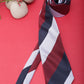 Alvaro Castagnino Men Striped Classic Formal Skinny Tie