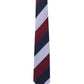 Alvaro Castagnino Men Striped Classic Formal Skinny Tie