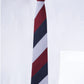 Alvaro Castagnino Men Striped Classic Formal Skinny Tie