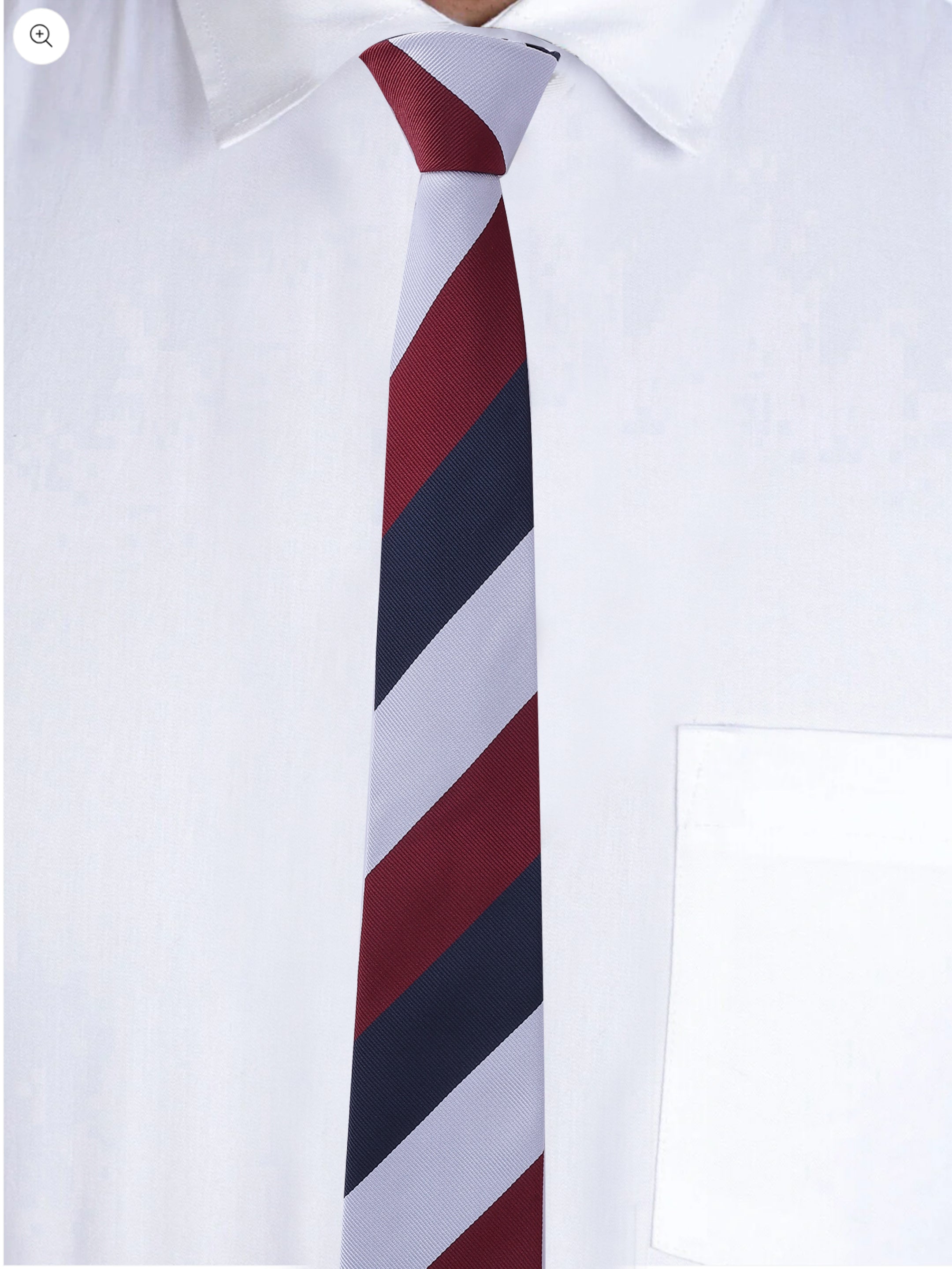 Alvaro Castagnino Men Striped Classic Formal Skinny Tie